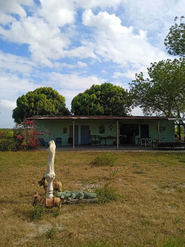 Imagen 2 de 15 de Se Vende Finca Via Al Sur Ve02-1303vs-dfer