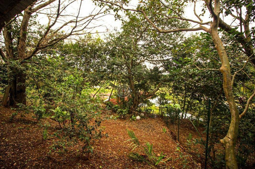 Imagem 11 de 26 de Chácara Com 1 Dormitório À Venda, 425 M² Por R$ 3.000.000,00 - Imóvel Foz Do Iguaçu - Parte I - Foz Do Iguaçu/pr - Ch0032