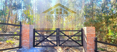 Venta De Sitio En Santa Rosa De Bucalemu