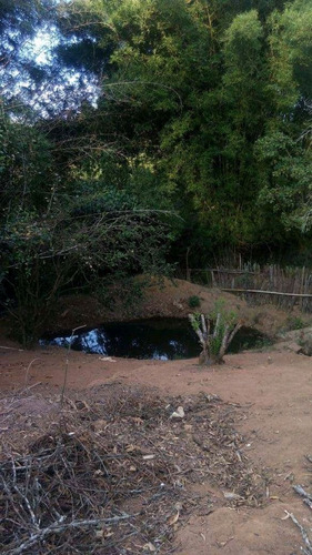 Imagem 7 de 10 de Linda Chácara Em Desterro De Entre Rios Mg