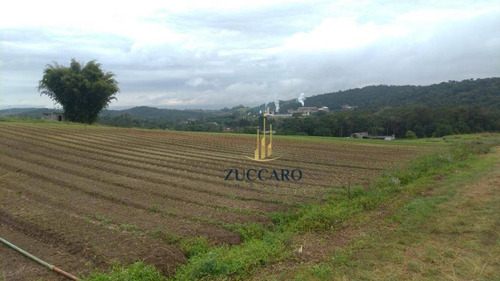 Área À Venda, 139000 M² Por R$ 30.000.000,00 - Taboão - Mogi Das Cruzes/sp - Ar0187