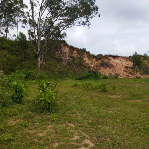 Imagen 4 de 4 de Terreno Plano En San Antonio De Los Altos, Miranda