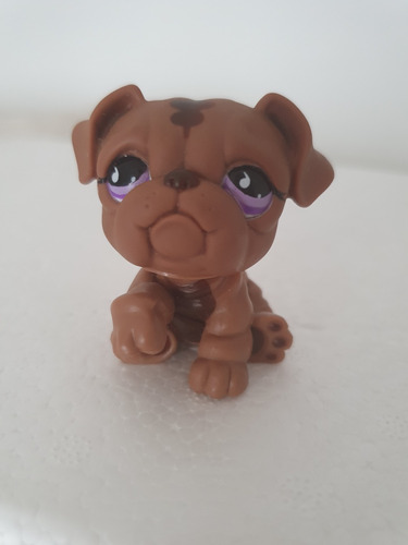 Littlest Pet Shop Bulldog N6
