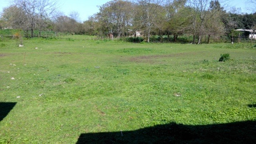 Imagen 4 de 8 de Quinta En Venta En Burzaco