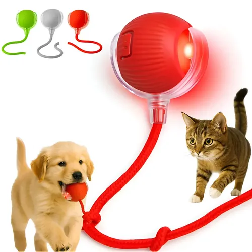 Bola Pet Inteligente Giratória Recarregável Usb Brinquedo Cachorr...