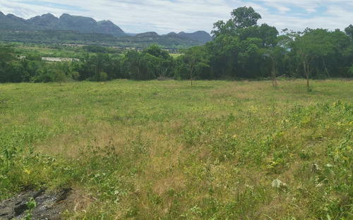 Imagen 18 de 30 de Se Vende Finca Barata Para Ganadería, Agricultura, Piscicultura, Porcicultura, Turismo, Vacacional Para Un Descanso Total Con Mucha Seguridad Y Sin Grupos Al Margen De La Ley. Tierras Productivas