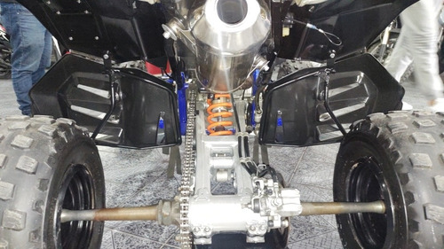 Imagen 9 de 12 de Cuatriciclo Suzuki Ltr 450 2009 Di Buono