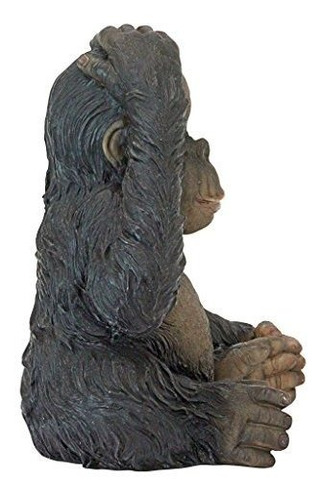 Diseño Toscano Jq3551 El Chimpancé De La Selva Mono Estatua 