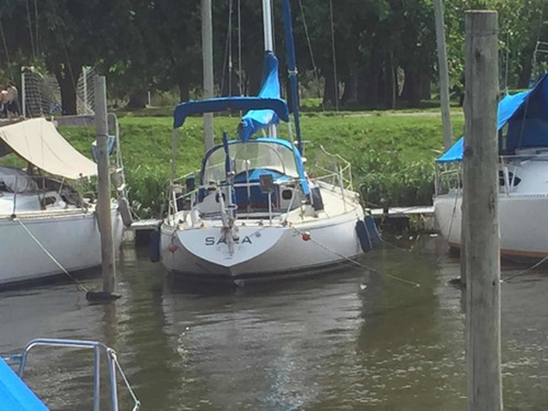 Velero Frers 31