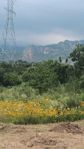 Terrenos En Venta En Camino Real A Cuernavaca, Tepoztlán, Morelos Caen-er-1171-t