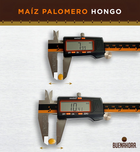 Maíz Palomero Hongo Bulto Calidad Premium 22.68kg