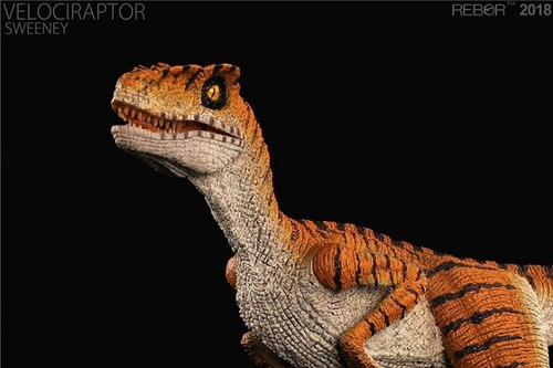 Velociraptor (sweeney) Rebor