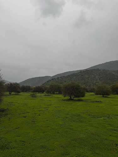Parcelas De Agrado 10000 M2 Curacavi Ruta 68 (176809)