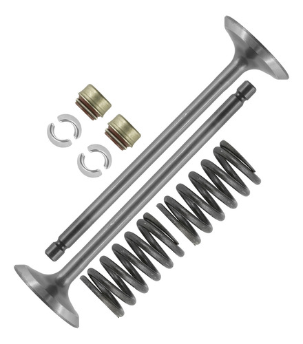 Caltric 0809-229 0809-040 0809-231 0809-233 Exhaust Valv Cch