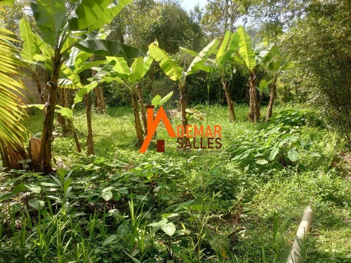 Imagem 20 de 30 de Chacara - Ch00120 - 70787182