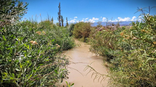 Venta Campo 134 Has En Finca Alamos, Barreal.