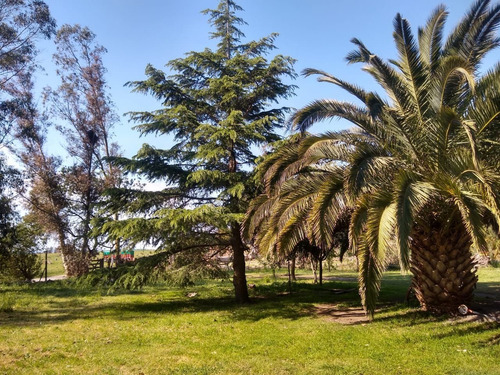 Imagen 2 de 24 de Casa Quinta Con Vista A La Sierra La Barrosa - 1650 M2 Lote