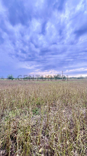 Venta Campo De 127 Ha, Clason, Santa Fe