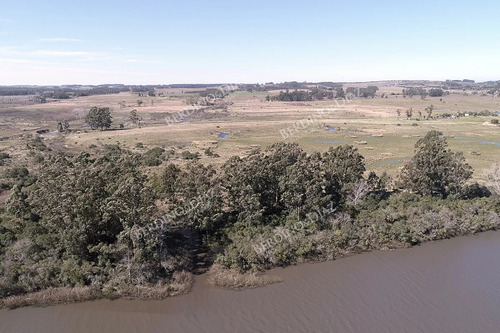 Chacra Campo En Venta Camino Eguzquiza 132 Hectareas