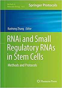 Rnai And Small Regulatory Rnas In Stem Cells Methods And Pro