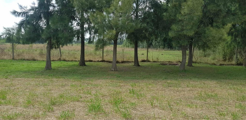 Imagen 6 de 6 de 2 Lotes En Excelente Ubicación Ideal Para Quinta En Brandsen