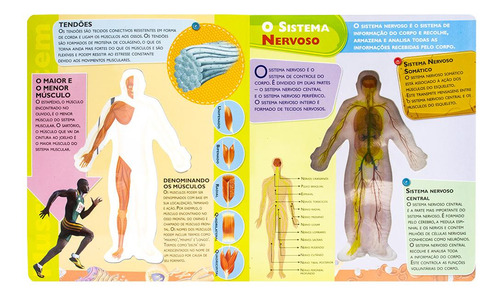 Meu incrível Livro 3D: Corpo Humano De Brijbasi Art Press Ltd Capa Dura Editora Todolivro