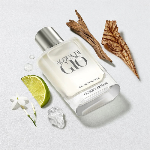 Perfume Giorgio Armani Acqua Di Gio Recargable Edt 100ml