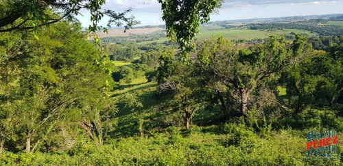 Chácaras_sítios_fazendas Para Venda - 13650.5197