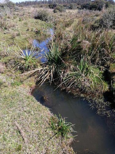 Venta De 30 Hectáreas De Campo En Garzón Maldonado (ref: Ksk-222)