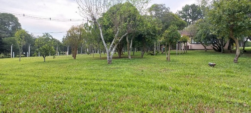 Imagem 7 de 30 de Chácara À Venda, 4000 M² Por R$ 450.000,00 - Cadiz - Gravataí/rs - Ch0004
