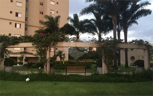 Imagem 12 de 19 de Localização Espetacular! - Reo696046