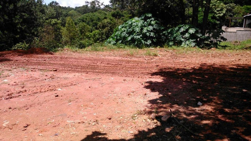 Imagem 2 de 6 de Terreno Em Chácara Santa Lúcia, Carapicuíba/sp De 1410m² À Venda Por R$ 500.000,00 - Te627021-s