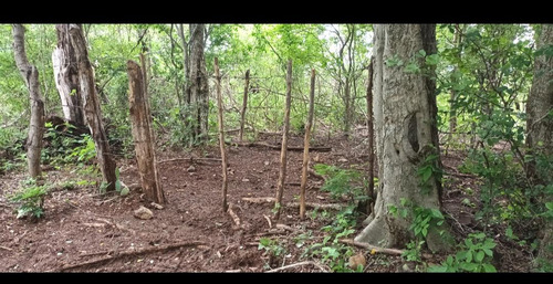Imagen 8 de 30 de Se Vende Finca De 154 Manzanas