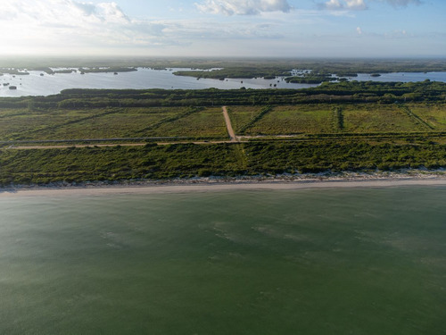 Villas De Lujo En Pre- Venta En El Mar De Sisal, Junka.