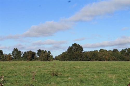 Imagen 17 de 30 de Agrícola En Venta En Puerto Varas