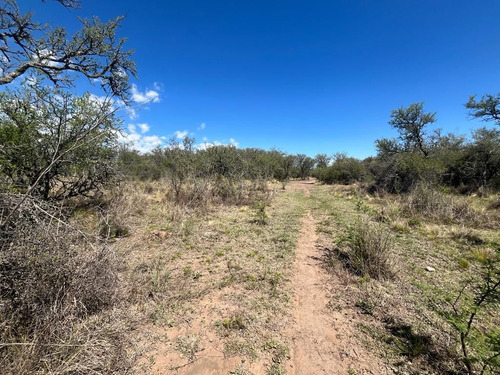 Venta Campo Villa Quillinzo (40 Hectareas) Ideal Para Loteo