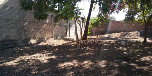 Imagen 7 de 11 de Terreno En Venta En Puerto Vallarta - Ixtapa