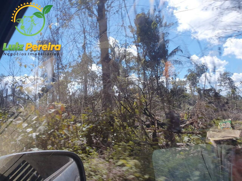 Imagem 8 de 15 de Fazenda À Venda Em Rondom - Pa - 11.000 Hectares (dupla Aptidão) - 1949