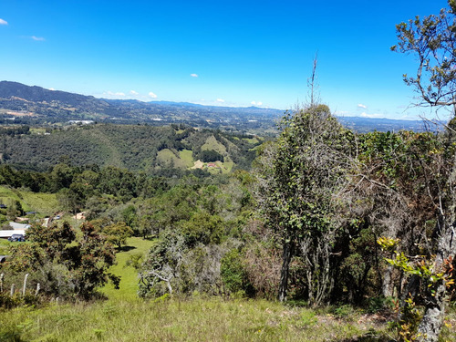 Vendo Lote La Honda Guarne 