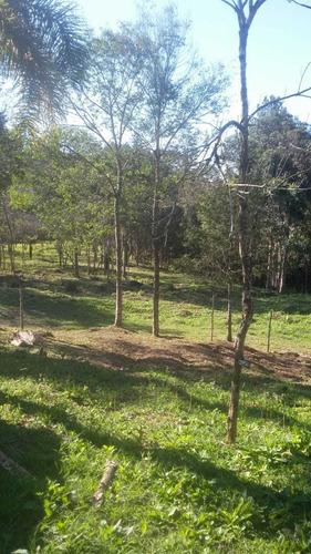 Imagem 10 de 12 de Vendo Chácara Em Colombo Roseira Lindas