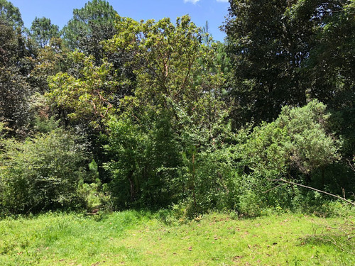 Terreno En Venta En San Cristobal De Las Casas