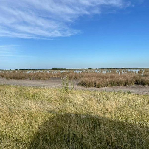 Imagen 4 de 14 de Campo Zona Laguna Los Horcones