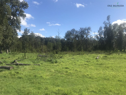 Agrícola En Venta En Puerto Varas , Nueva Braunau