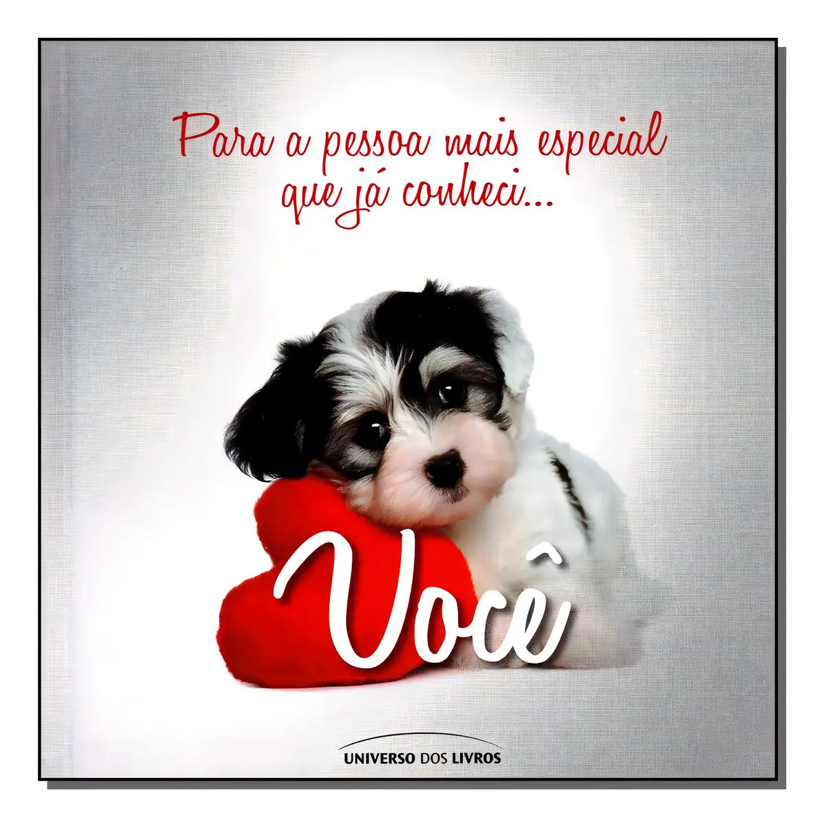 Para A Pessoa Mais Especial Que Ja Conheci..., De Diversos Autores., Vol. Autoajuda. Editora Universo Dos Livros, Capa Mole Em Português, 2013