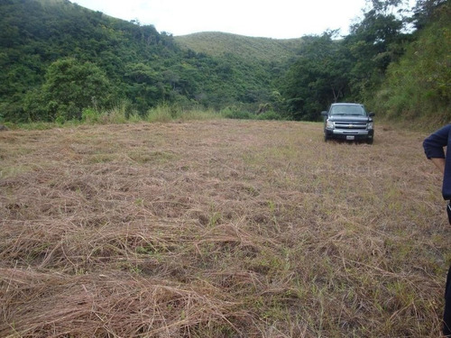 Imagen 16 de 18 de Terreno En Venta En Colinas De Guataparo Valencia Carabobo 22g8223 Gerardo Guillén Rentahouse