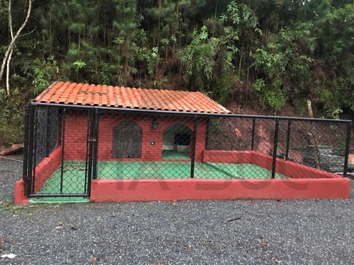 Imagem 30 de 30 de Fascinante Imóvel, Com Excelente Acabamento, Com Lago E Piscina. Excelente Para Lazer E Para Moradia. - 68 - 69418584