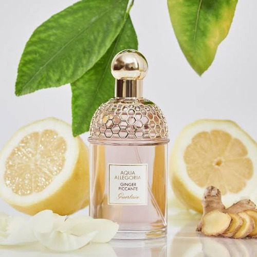 Aqua Allegoria Ginger Piccante Edt 125ml Guerlain