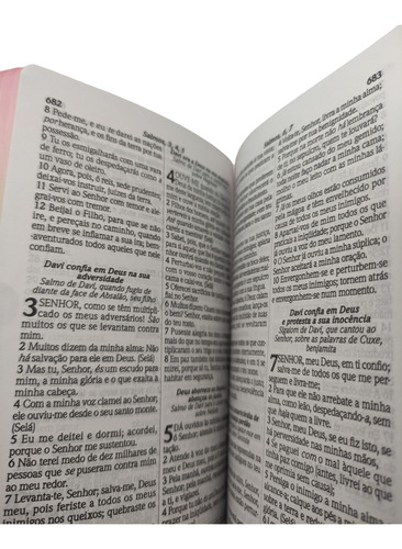 Bíblia Do Culto Para Jovens | Arc | Harpa Cristã E Corinhos | Índice Lateral | Estampa Floral