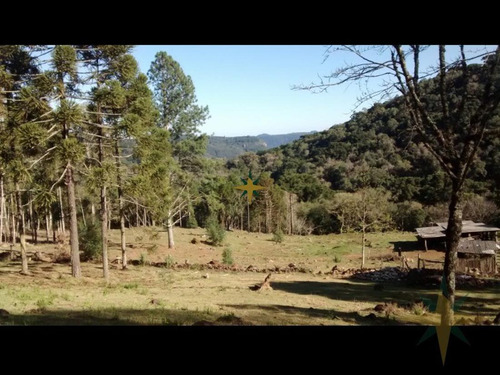 Imagem 11 de 12 de Sítio Com Excelente Localização - 484