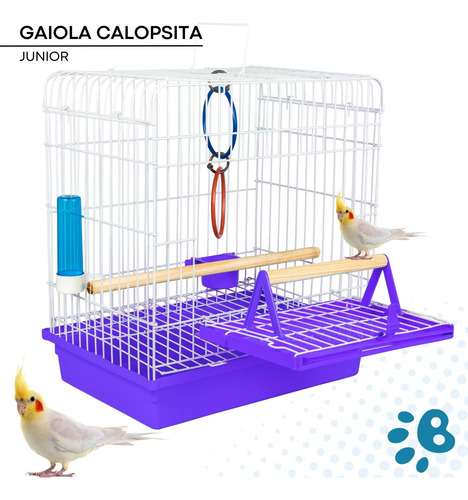 Gaiola Calopsita E Pássaro Manso